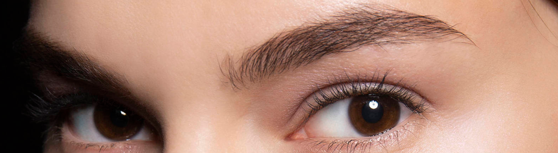 cejas_nueva